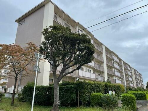 千葉県船橋市緑台１丁目 賃貸マンション
