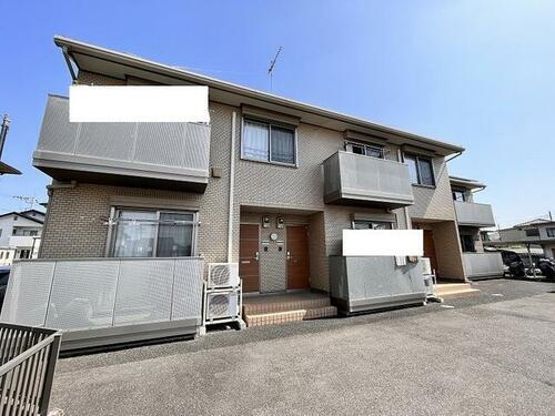 スプリングフェリス