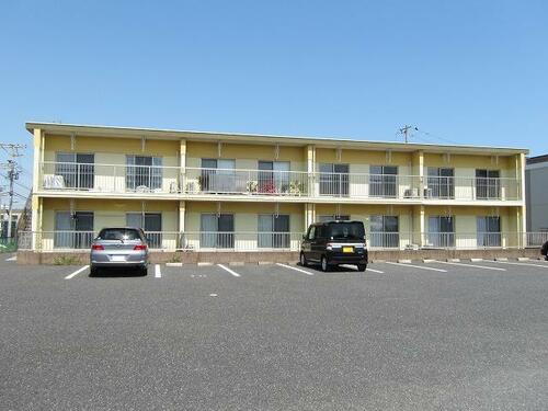 ピースフルジョイ