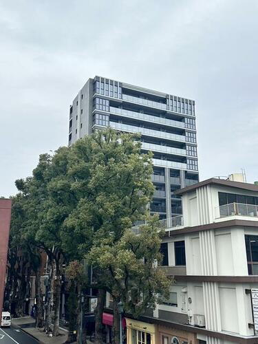 熊本県熊本市中央区上通町 築2年11ヶ月 14階建