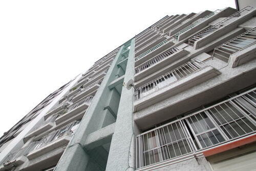 広島県広島市中区国泰寺町２丁目 11階建 築52年9ヶ月