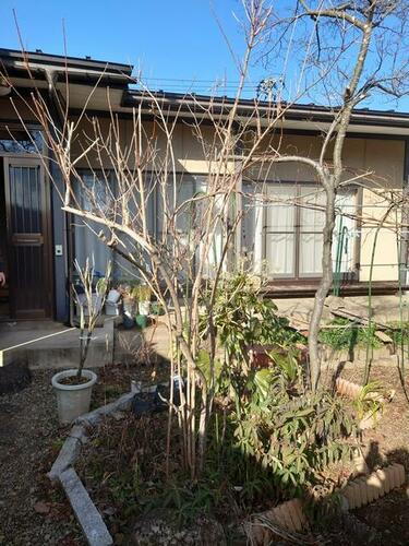 ルーム３ 平屋建て