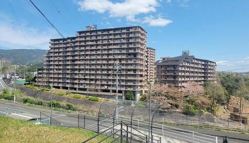 和歌山県橋本市三石台１丁目 13階建 築32年5ヶ月