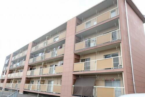 香川県丸亀市飯山町東坂元 4階建 築51年10ヶ月