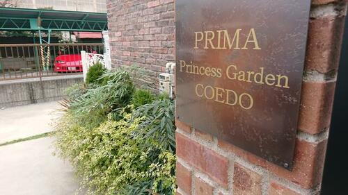 プリマ　プリンセス　ガーデン　ＣＯＥＤＯ 2階建
