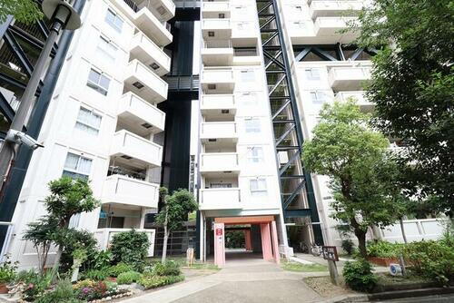 芦屋浜高層（若葉）４－２－４３１　４階