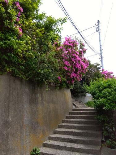 上町３丁目貸家 平屋建て