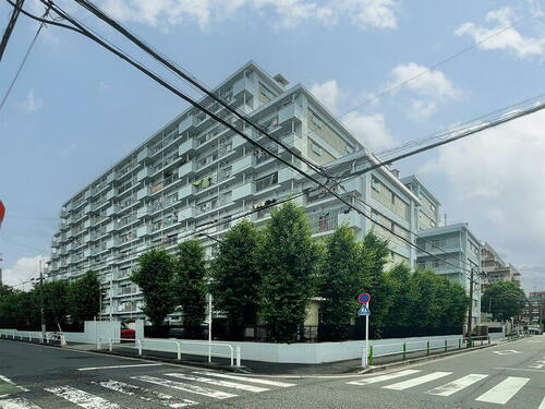 東京都板橋区栄町 10階建 築49年8ヶ月