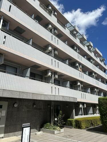 ステーションプラザ多摩川 5階建