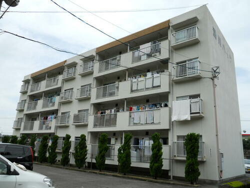 徳島県徳島市南庄町３丁目 賃貸マンション