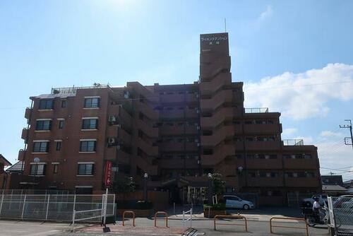 群馬県高崎市高関町 7階建