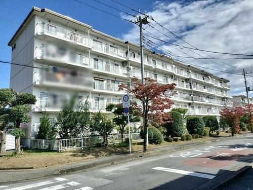 埼玉県鴻巣市吹上富士見３丁目 賃貸マンション