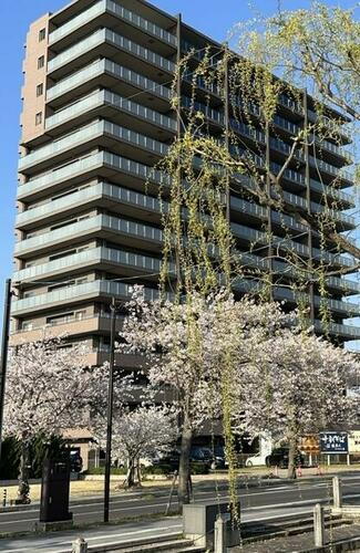 島根県出雲市今市町 15階建 築1年未満