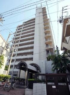 朝日プラザ坪井 13階建