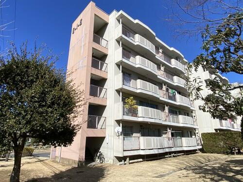 茨城県取手市戸頭６丁目 築50年5ヶ月 5階建