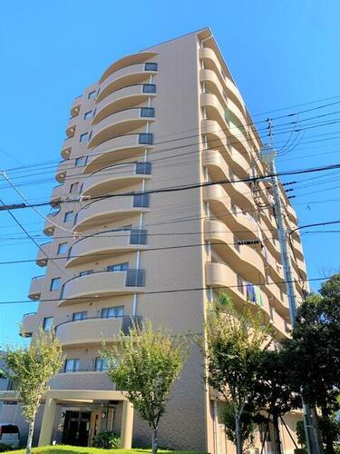 パインズマンション木更津壱番館 11階建