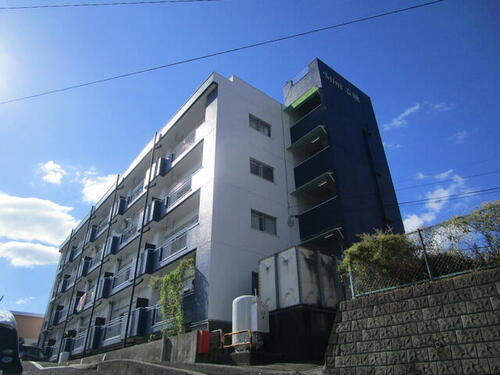 ＭＩＮＴ石垣 4階建