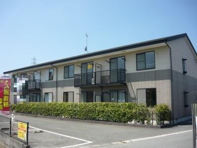 グレイスドリーム