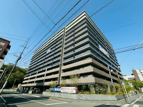 熊本県熊本市中央区新町１丁目 13階建 
