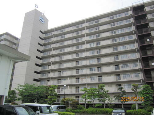 南末広第１マンション 11階建
