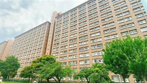 中津リバーサイドコーポＣ棟 14階建