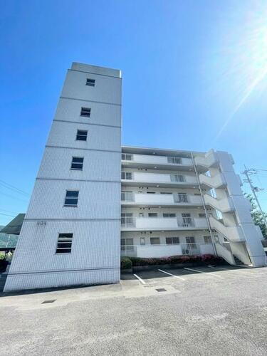 徳島県美馬市脇町新町 5階建 築37年3ヶ月