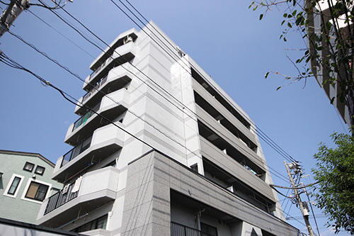 ハイブリッジビル 7階建