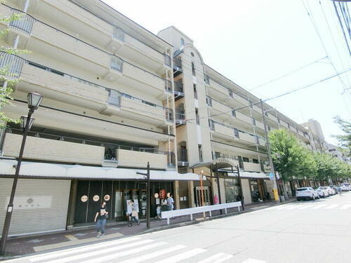 兵庫県芦屋市船戸町 5階建 築41年9ヶ月