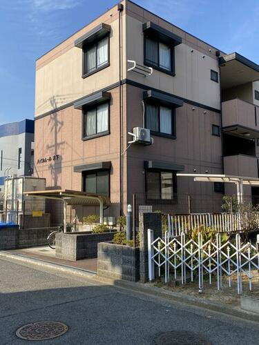 ハイカムール木下