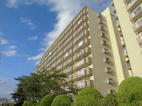 ダイアパレス草加Ⅱ