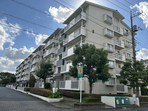 埼玉県鴻巣市赤見台２丁目 賃貸マンション