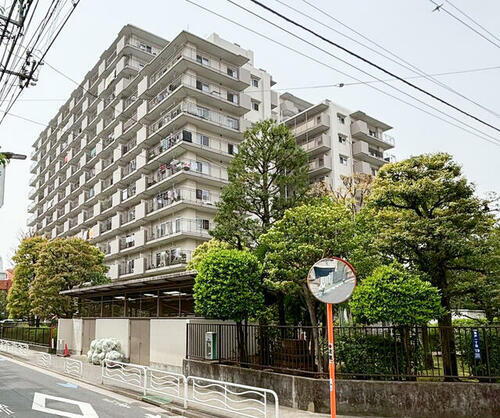 東京都江東区亀戸１丁目 築45年11ヶ月 13階建