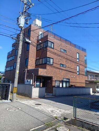 コットンプラント