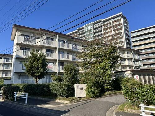 千葉県千葉市美浜区稲毛海岸１丁目 賃貸マンション