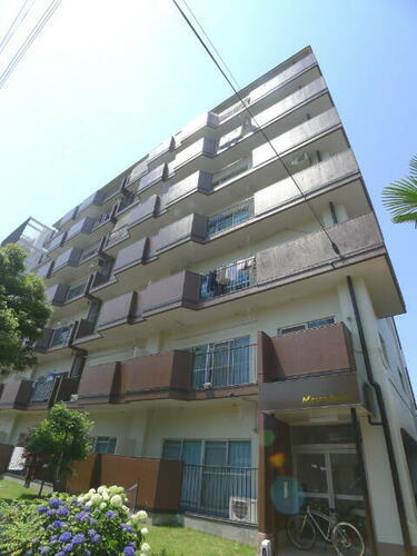 愛知県名古屋市中村区日吉町 7階建 築44年5ヶ月