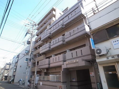 アドニス春日野