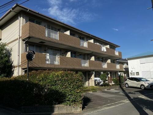 グレイスイシダ