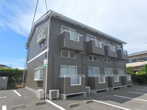 サンヒルズカトレア