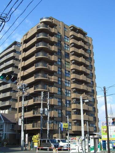 アリビオ・サイ