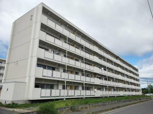 岩手県北上市藤沢１９地割 賃貸マンション