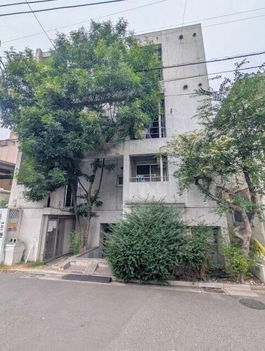 Ｆｅｓｔｉｎａ　Ｌｅｎｔｅ