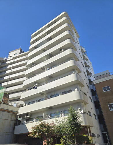 東京都墨田区向島２丁目 築43年6ヶ月 10階建