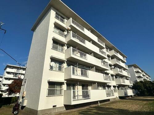 千葉県船橋市夏見台１丁目 築57年10ヶ月 5階建