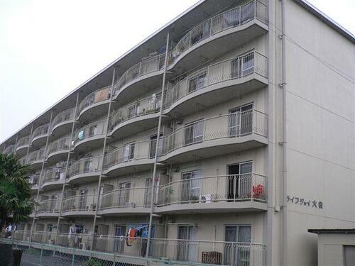 ライフジョイ大袋