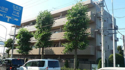 神奈川県横浜市戸塚区影取町 賃貸マンション