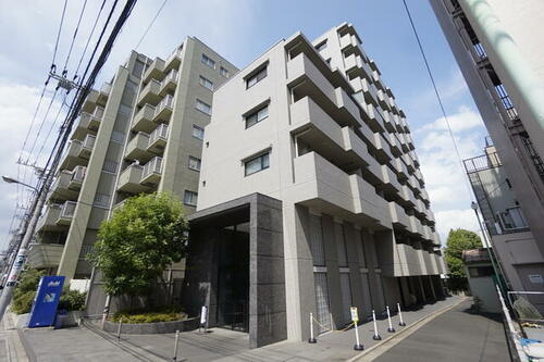 東京都江東区亀戸３丁目 築11年9ヶ月 9階建