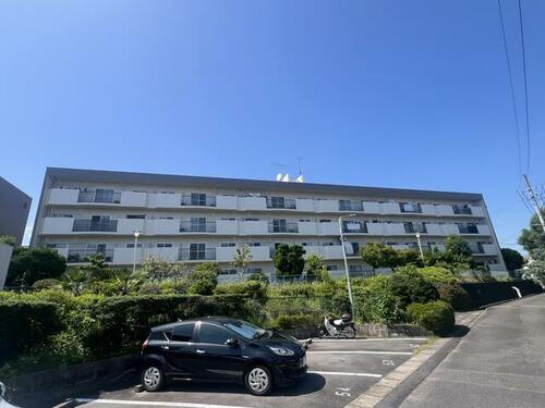 愛知県尾張旭市緑町緑ケ丘 築51年3ヶ月 4階建