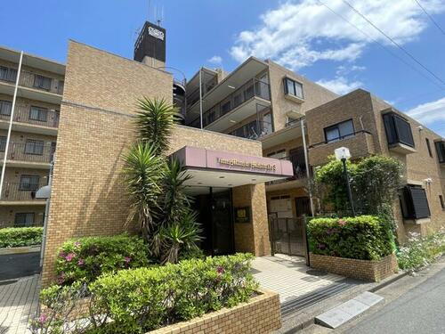 埼玉県三郷市早稲田１丁目 賃貸マンション