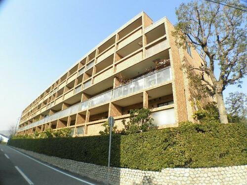 兵庫県芦屋市岩園町 築29年12ヶ月 5階建