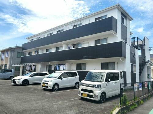 カサブランカトガリ